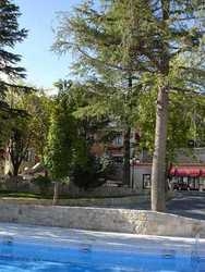 Imagen general del Hotel Palacio Miraflores. Foto 9