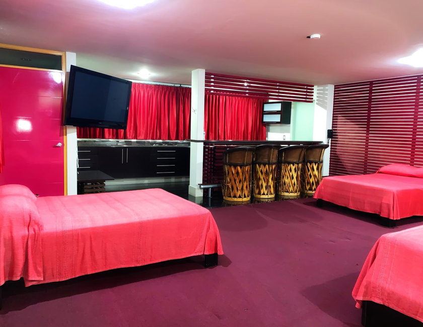 Imagen general del Hotel Palacio Rojo. Foto 15
