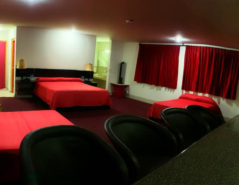 Imagen general del Hotel Palacio Rojo. Foto 16