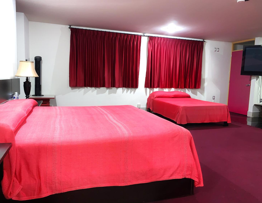 Imagen general del Hotel Palacio Rojo. Foto 17