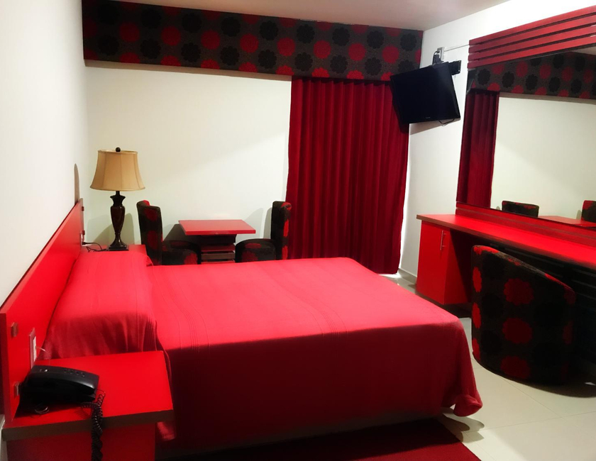 Imagen general del Hotel Palacio Rojo. Foto 23