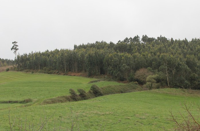 Imagen de los exteriores del Hotel Palacio de Fiame. Foto 7