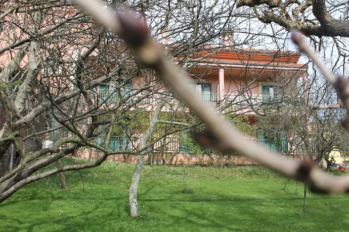 Imagen de los exteriores del Hotel Palacio de Fiame. Foto 8