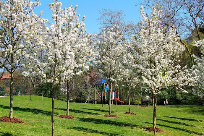 Imagen de los exteriores del Hotel Palación De Toñanes. Foto 6