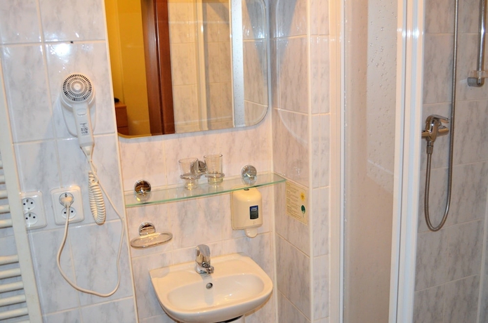 Imagen de la habitación del Hotel Palacký. Foto 11