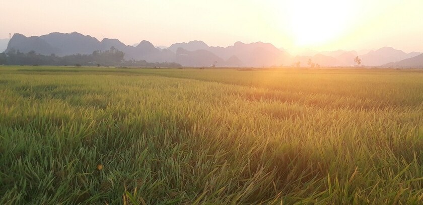 Imagen de la habitación del Hotel Palafita Bungalow. Foto 19