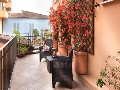 Imagen general del Hotel Palagi. Foto 5