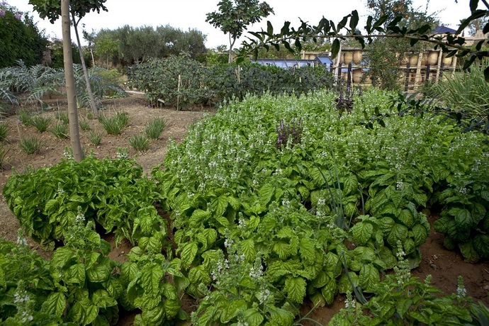 Imagen de los exteriores del Hotel Palais De L'Ô. Foto 9