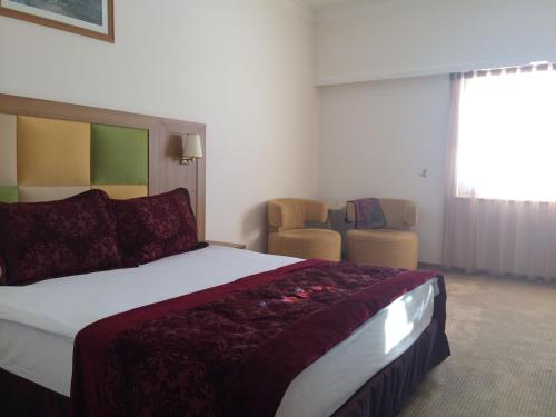 Imagen de la habitación del Hotel Palan Ski & Convention Resort. Foto 8