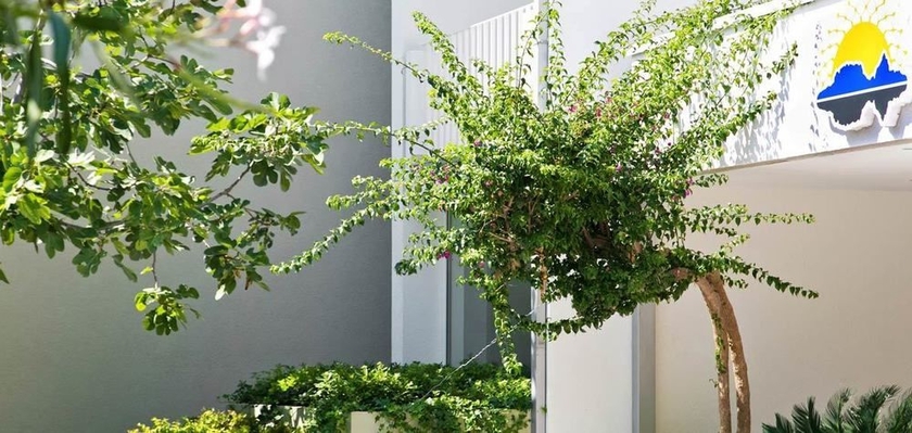 Imagen general del Hotel Palas, Petrovac. Foto 3