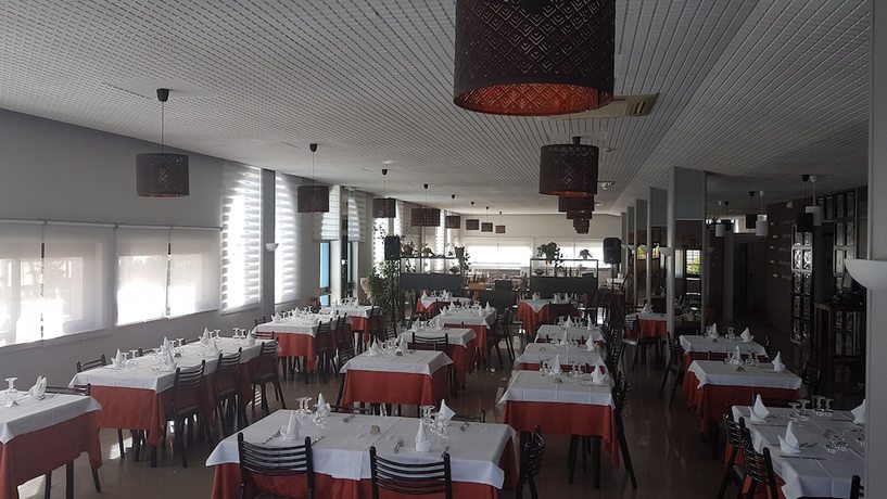 Imagen del bar/restaurante del Hotel Palatinum. Foto 7