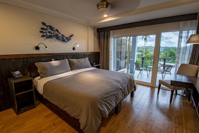 Imagen de la habitación del Hotel Palau Central. Foto 22