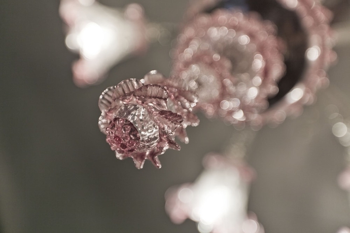 Imagen de la habitación del Hotel Palazzo Cendon. Foto 5