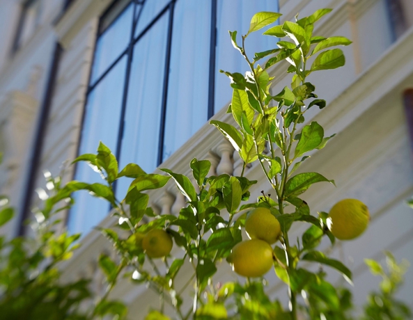Imagen de los exteriores del Hotel Palazzo Dama. Foto 16