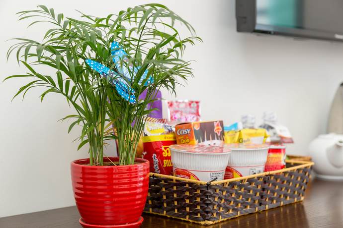 Imagen de la habitación del Hotel Palazzo Luxury. Foto 12