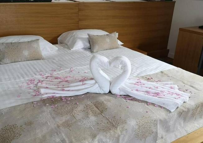 Imagen de la habitación del Hotel Palcich. Foto 15