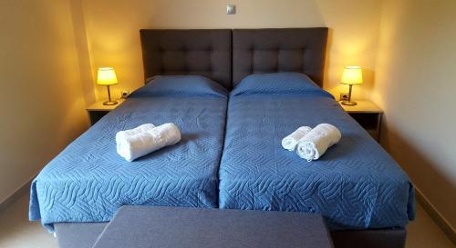 Imagen de la habitación del Hotel Paleo Inn. Foto 6