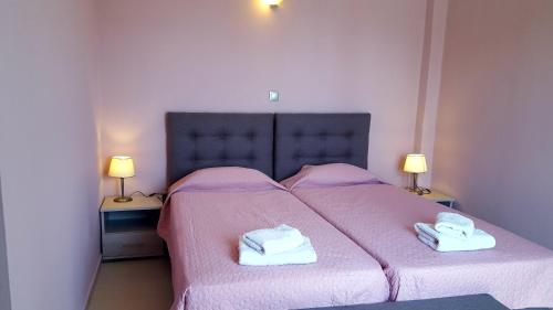 Imagen de la habitación del Hotel Paleo Inn. Foto 7