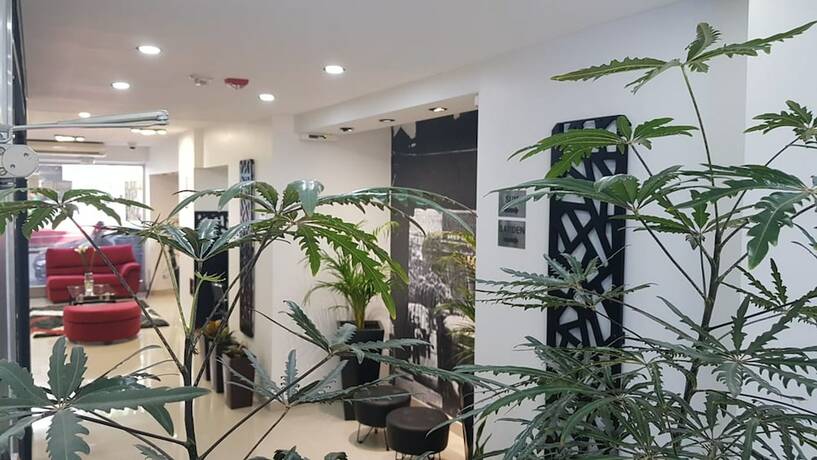 Imagen general del Hotel Palermo Bridge. Foto 8