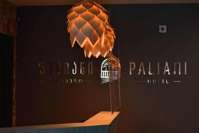 Imagen general del Hotel Paliani. Foto 4