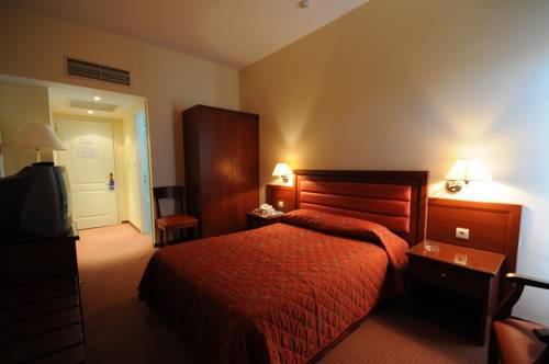 Imagen de la habitación del Hotel Paliria. Foto 9