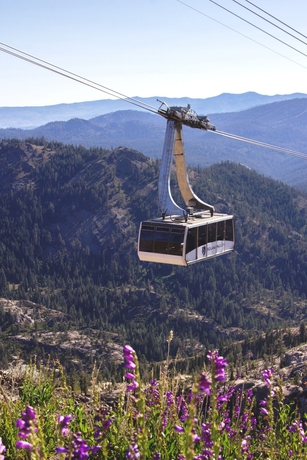Imagen de los exteriores del Hotel Palisades Tahoe Lodge. Foto 10