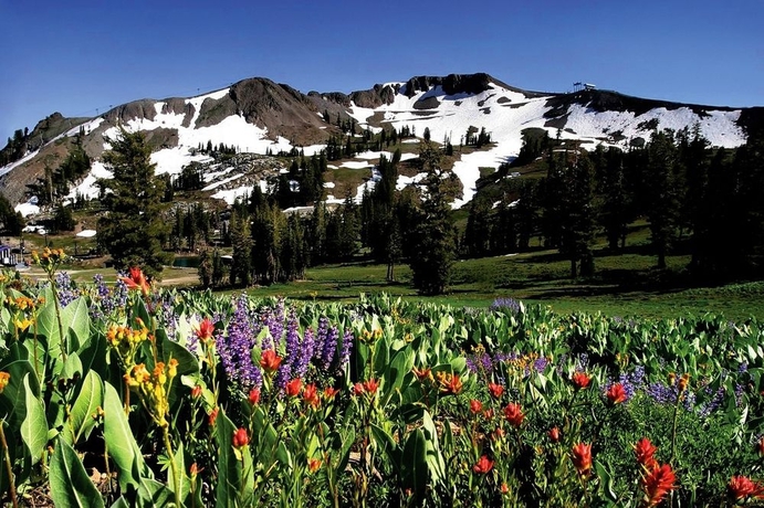 Imagen de los exteriores del Hotel Palisades Tahoe Lodge. Foto 11