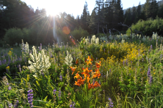 Imagen de los exteriores del Hotel Palisades Tahoe Lodge. Foto 12