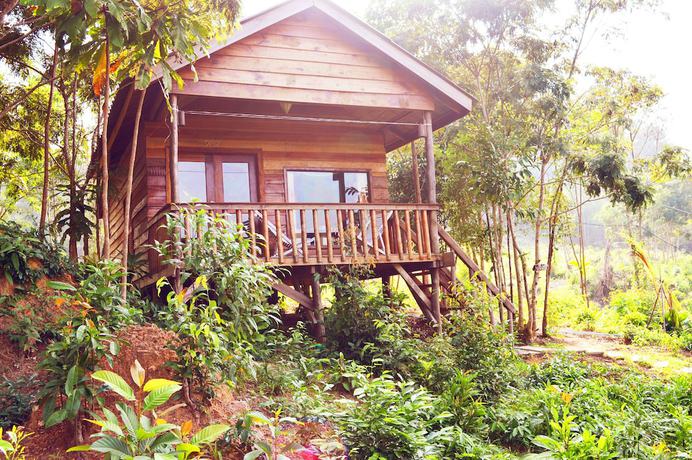 Imagen de la habitación del Hotel Palm Beach Bungalow Resort. Foto 18