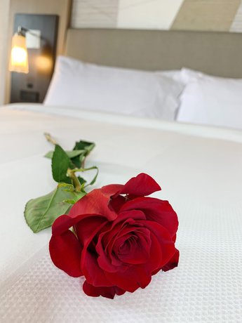 Imagen de la habitación del Hotel Palm Beach Gardens Marriott. Foto 9