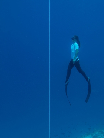 Imagen general del Hotel Palm Beach Island Resort and Spa Maldives. Foto 2