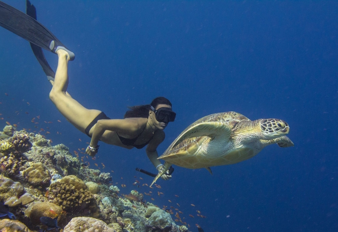 Imagen general del Hotel Palm Beach Island Resort and Spa Maldives. Foto 6