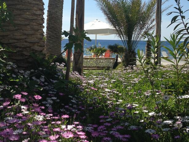 Imagen de los exteriores del Hotel Palm Beach Sudkreta. Foto 15