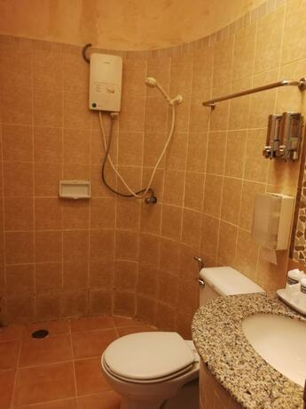 Imagen general del Hotel Palm Chalet Resort. Foto 7