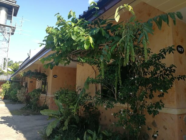 Imagen general del Hotel Palm Chalet Resort. Foto 13