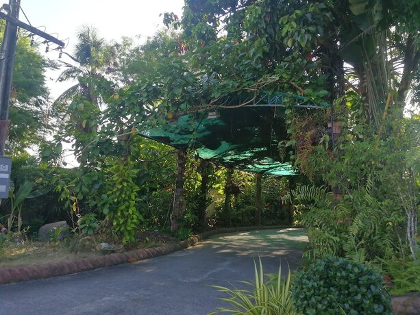 Imagen general del Hotel Palm Chalet Resort. Foto 16