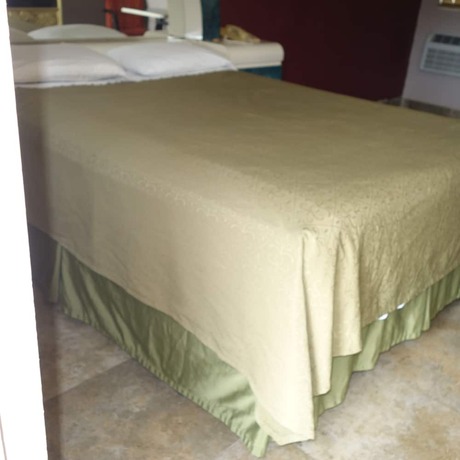 Imagen general del Hotel Palm City Motel. Foto 5