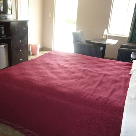 Imagen de la habitación del Hotel Palm City Motel. Foto 14