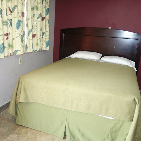 Imagen de la habitación del Hotel Palm City Motel. Foto 15