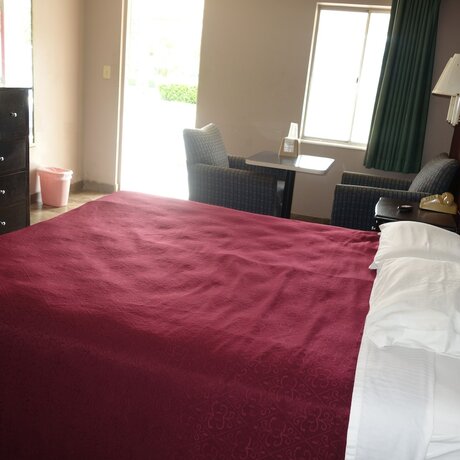 Imagen de la habitación del Hotel Palm City Motel. Foto 18