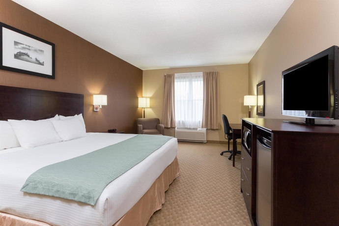 Imagen de la habitación del Hotel Palm Coast and Suites. Foto 4