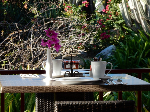 Imagen del bar/restaurante del Hotel Palm Court Residence. Foto 6