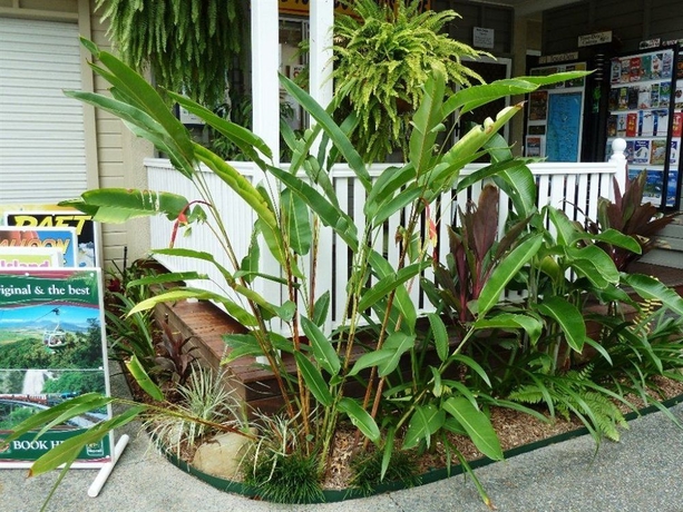 Imagen de los exteriores del Hotel Palm Cove Tropic Apartments. Foto 6