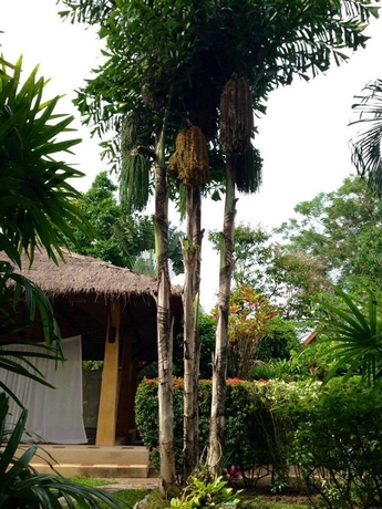 Imagen de los exteriores del Hotel Palm Garden Resort. Foto 5