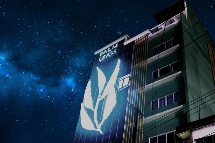 Imagen general del Hotel Palm Grass. Foto 2