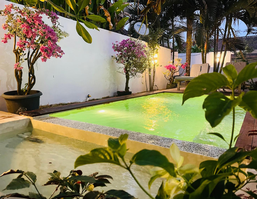 Imagen general del Hotel Palm Green Homestay. Foto 3
