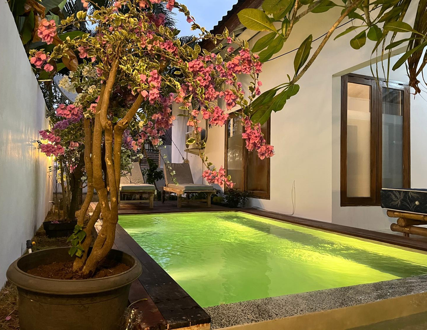 Imagen general del Hotel Palm Green Homestay. Foto 4