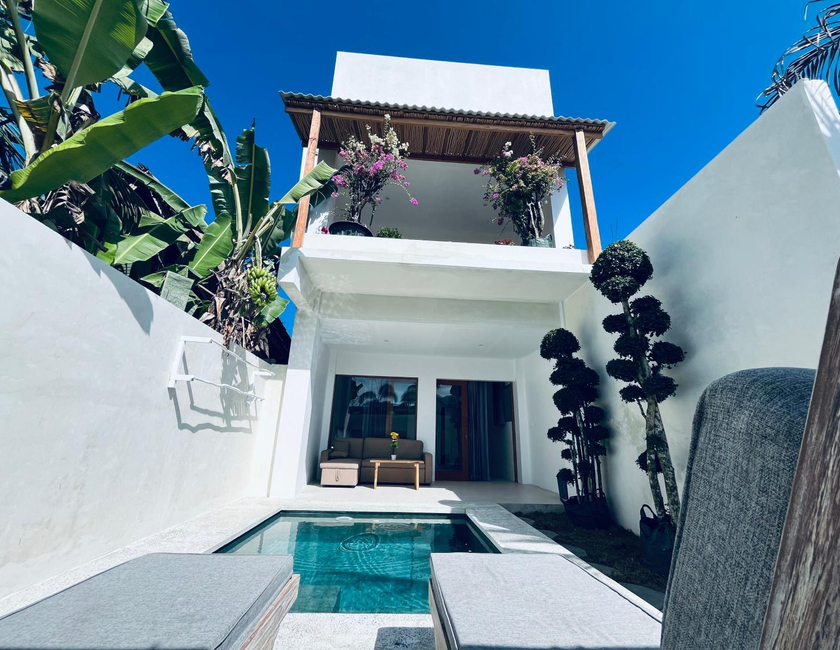 Imagen general del Hotel Palm Green Homestay. Foto 5