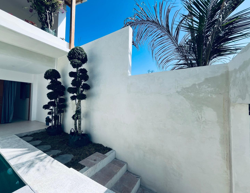 Imagen general del Hotel Palm Green Homestay. Foto 6