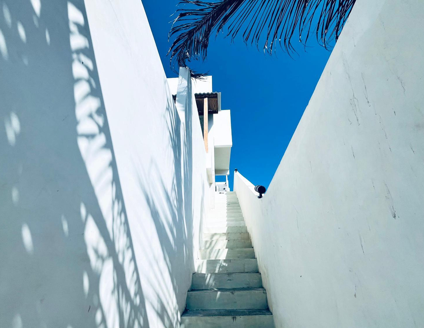 Imagen general del Hotel Palm Green Homestay. Foto 15